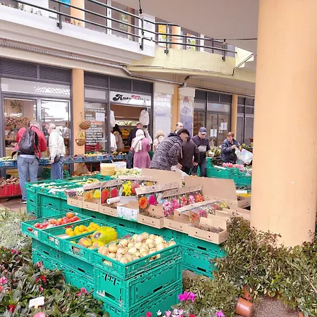 Ferienhaus Angela`s Loft Ribeira Brava