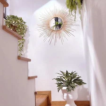 Angela`s Loft Ribeira Brava